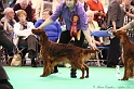 Crufts2011 870